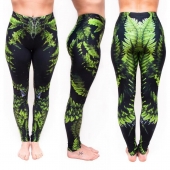 Compression Lagies